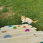 Farm stay Zakatek Sloneczny Pod Barania Gora *