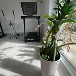 Zakatek Sloneczny Pod Barania Gora Kamesznica