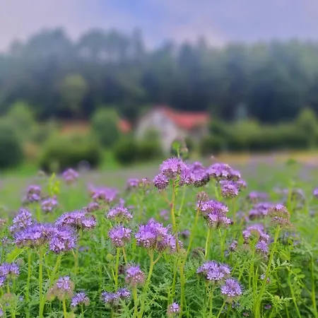 בית חווה Zakatek Sloneczny Pod Barania Gora