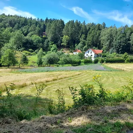 Zakątek Słoneczny Pod Baranią Górą * Kamesznica
