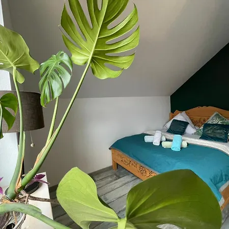 Zakatek Sloneczny Pod Barania Gora Farm stay