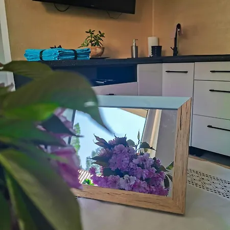 Zakatek Sloneczny Pod Barania Gora Farm stay Kamesznica