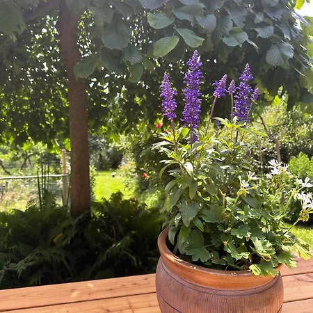 Zakatek Sloneczny Pod Barania Gora Farm stay *
