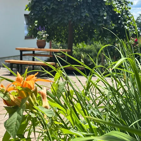 Farm stay Zakatek Sloneczny Pod Barania Gora *