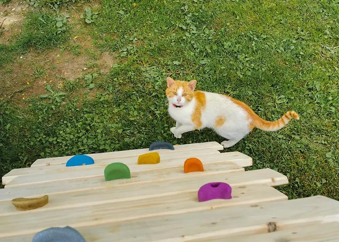 Farma Zakatek Sloneczny Pod Barania Gora *