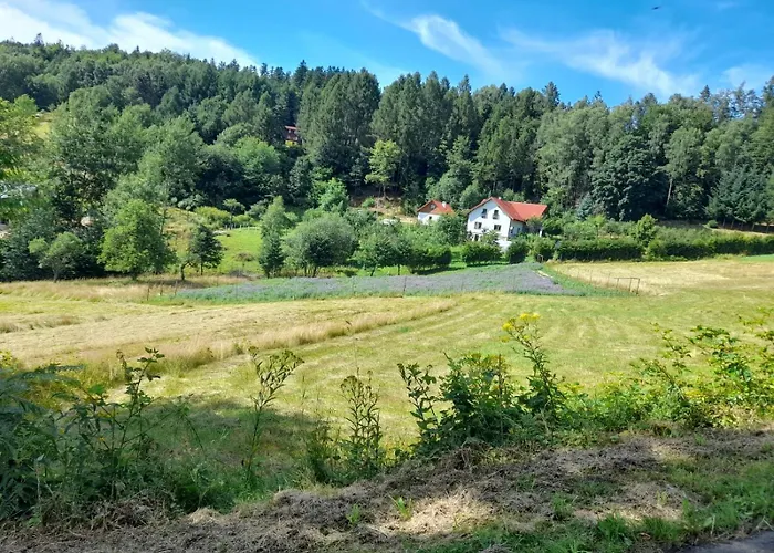 Zakatek Sloneczny Pod Barania Gora * Kamesznica