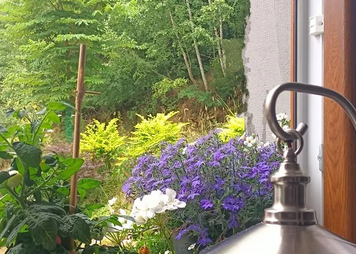 Zakatek Sloneczny Pod Barania Gora Kamesznica