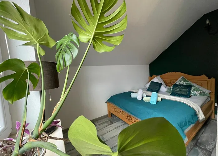 Zakatek Sloneczny Pod Barania Gora Farma